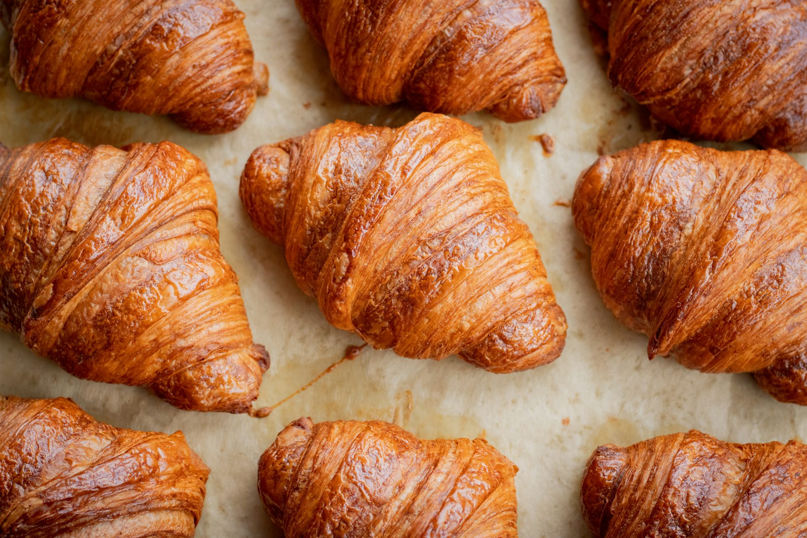 Golden butter croissants